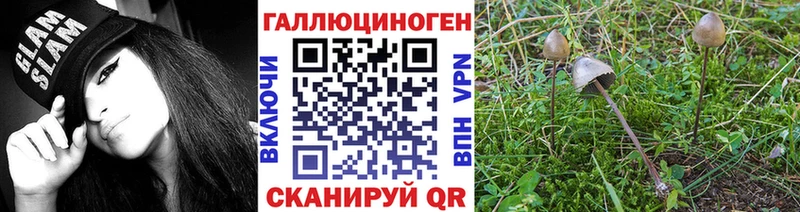 что такое наркотик  Урай  Псилоцибиновые грибы мицелий 